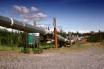 Alaska Pipeline, IPOV04P04_01
