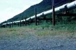 Alaska Pipeline, IPOV04P04_02