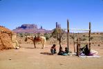 Navajo Woman Weaver, Rug, Horse, Loom, ITCV01P01_14