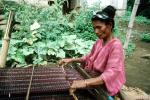Woman Weaving, Weaver, female, ITCV01P03_02