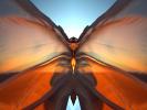 Butterfly Wing in the Wind, floating cloth, flying, wafting in the wind, windy, windblown, ITTD01_006B