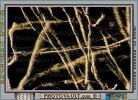 Microscopic Fiber, Cloth, ITTV01P03_19.2171