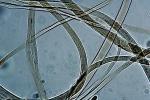 Microscopic Fiber, Cloth, ITTV01P04_02