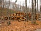Logs, stacked, stacks, pile, Michigan, IWLD01_003