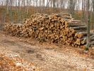 Logs, stacked, stacks, pile, Michigan, IWLD01_005