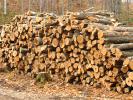 Logs, stacked, stacks, pile, Michigan, IWLD01_006