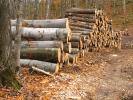 Logs, stacked, stacks, pile, Michigan, IWLD01_007