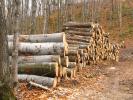 Logs, stacked, stacks, pile, Michigan, IWLD01_008