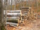 Logs, stacked, stacks, pile, Michigan, IWLD01_009