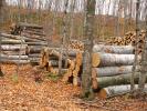 Logs, stacked, stacks, pile, Michigan, IWLD01_010
