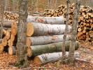 Logs, stacked, stacks, pile, Michigan, IWLD01_011