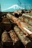 Lumber Mill, Logs, stacked, stacks, pile, Oshino, Japan