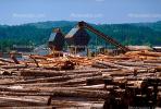 Lumber Mill, Logs, stacked, stacks, pile