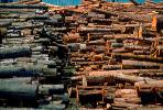 Logs, stacked, stacks, pile, IWLV01P10_11.2172