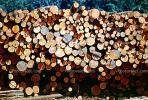 Logs, stacked, stacks, pile, IWLV01P10_13