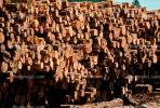 Logs, stacked, stacks, pile, IWLV01P10_18.2171