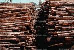 Logs, stacked, stacks, pile, IWLV01P10_19.2172