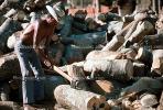 Chopping Rainforest Hardwoods
