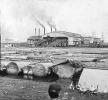 logs, mill, Geese, lumber mill, smokestacks, smoke, 1890's, IWLV02P05_18