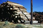 Logs, stacked, stacks, pile, IWLV02P07_06