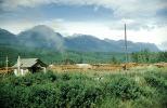 wood waste burner, mountains, forest, lumber mill