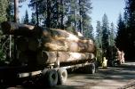 Logging Truck
