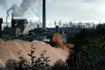 sawdust mounds, Smokey Lumber Mill, smoke, air pollution, soot, buildings, IWPV01P02_13