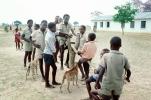Teeter-totter, Boys, Madzongwe, KEDV02P15_17