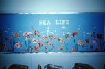 Sea Life, aquarium, water, mural, Classroom, 1960s, KEDV05P08_03