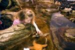 Girl playing with Sea Life, touch tank, hands-on, aquarium, sealife, starfish, hands-on exhibit, touch, KEPD01_057