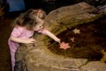 Girl playing with Sea Life, touch tank, hands-on, aquarium, sealife, starfish, hands-on exhibit, touch, KEPD01_058