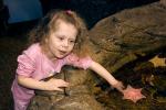 Girl playing with Sea Life, touch tank, hands-on, aquarium, sealife, starfish, hands-on exhibit, touch, KEPD01_059