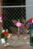 Memorial Fence, Oklahoma City bombing, MXNV01P10_13