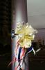 Memorial Yellow Ribbon, Oklahoma City bombing, MXNV01P12_02