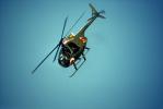 OH-6A Cayuse, flight, flying, airborne, MYAV03P10_07