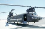 Boeing-Vertol CH-47 Chinook Helicopter, MYAV04P05_08