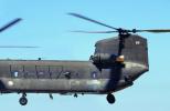 Boeing-Vertol CH-47 Chinook Helicopter, MYAV04P05_14