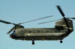 Boeing-Vertol CH-47 Chinook Helicopter, MYAV04P05_15