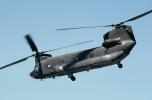 Boeing-Vertol CH-47 Chinook Helicopter, MYAV04P05_19