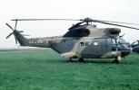 ADF, French Army Puma, Helicopter, VTOL
