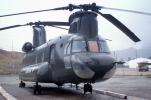 CH-47A Chinook, Helicopter Aviation, Camp San Luis Obispo, California, MYAV05P07_01