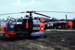 H-75, Aerospatiale Alouette III, French Helicopter, Royal Netherlands Air Force, Dutch