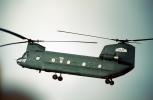 Boeing Vertol CH-47, MYAV07P01_04