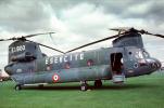 Esercito, E.I.800, Boeing Vertol CH-47, Italian, Italy