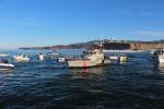 47267, 47-foot Motor Lifeboat (MLB), USCG, Mavericks Surf Spot, cutter, MYCD01_105