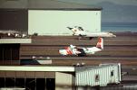 Grumman, HU-16 Albatross at SFO, December 1975, MYCV02P15_15