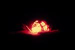 Atom Bomb, Explosion, Mushroom Cloud, cold war, Thermonuclear Explosion, Hydrogen Bomb, detonation, MYEV01P03_09.1698
