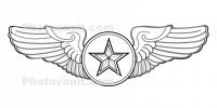 United States Air Force, wings, badge, MYFD01_085