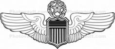 United States Air Force, wings, badge, MYFD01_087