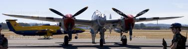 Lockheed P-38 Lightning, static Panorama, head-on, MYFD01_192